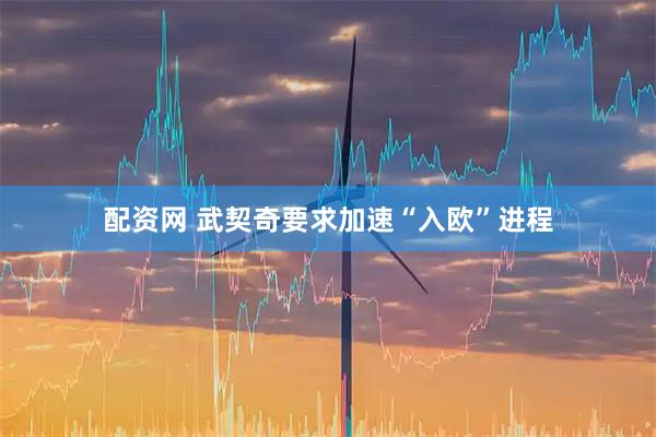 配资网 武契奇要求加速“入欧”进程